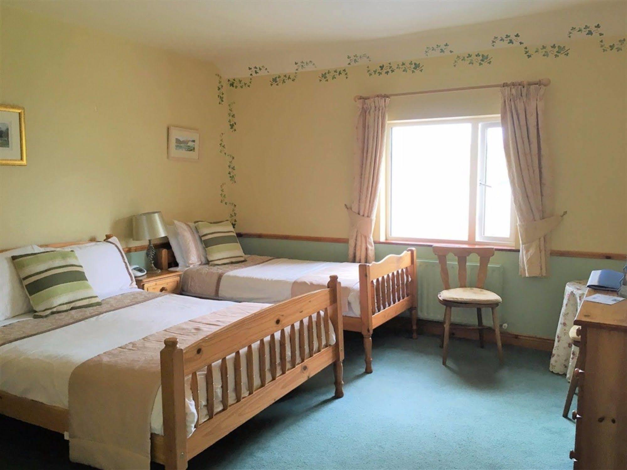 O'Connor'S Guest House Дингъл Екстериор снимка