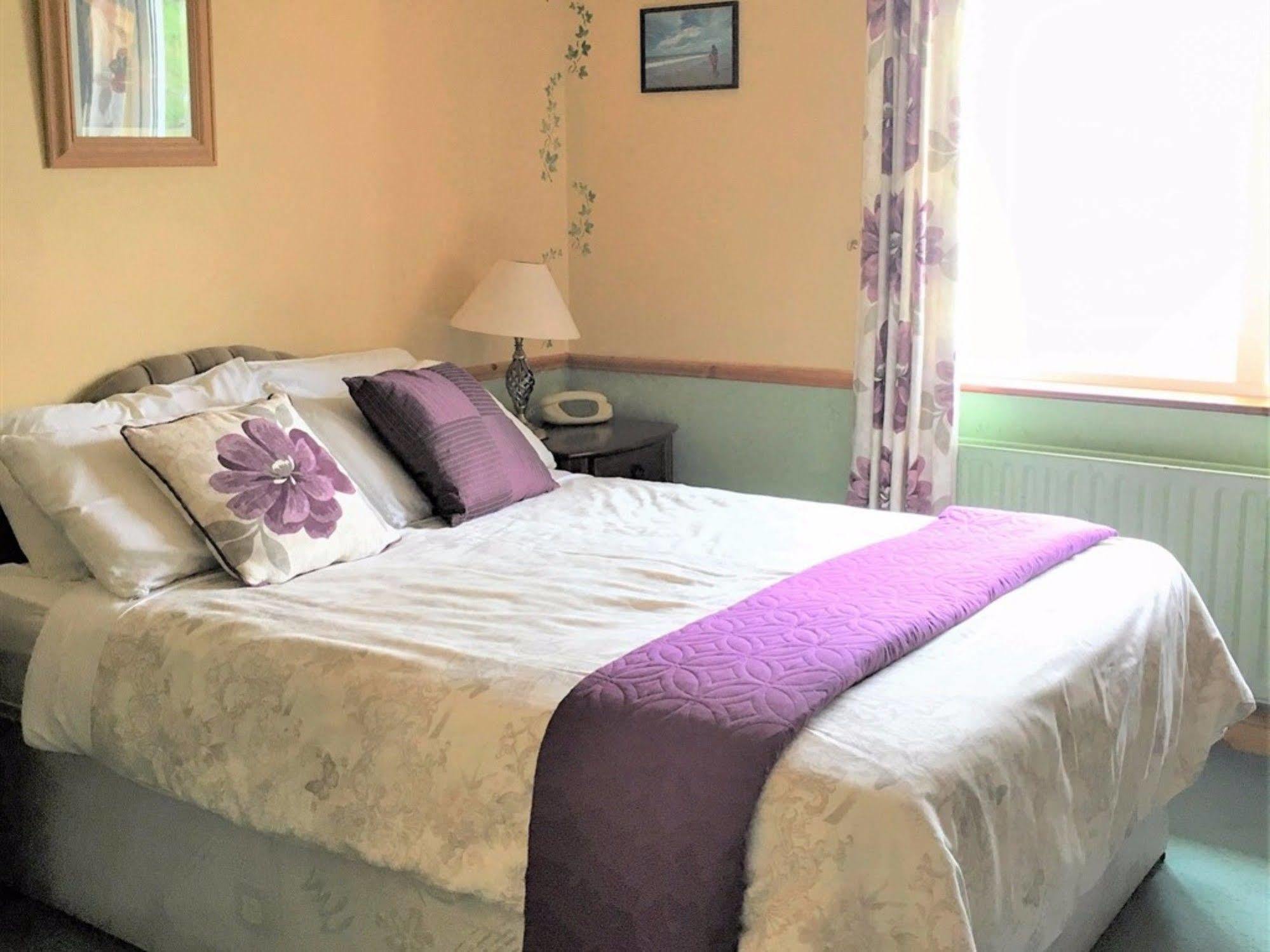 O'Connor'S Guest House Дингъл Екстериор снимка