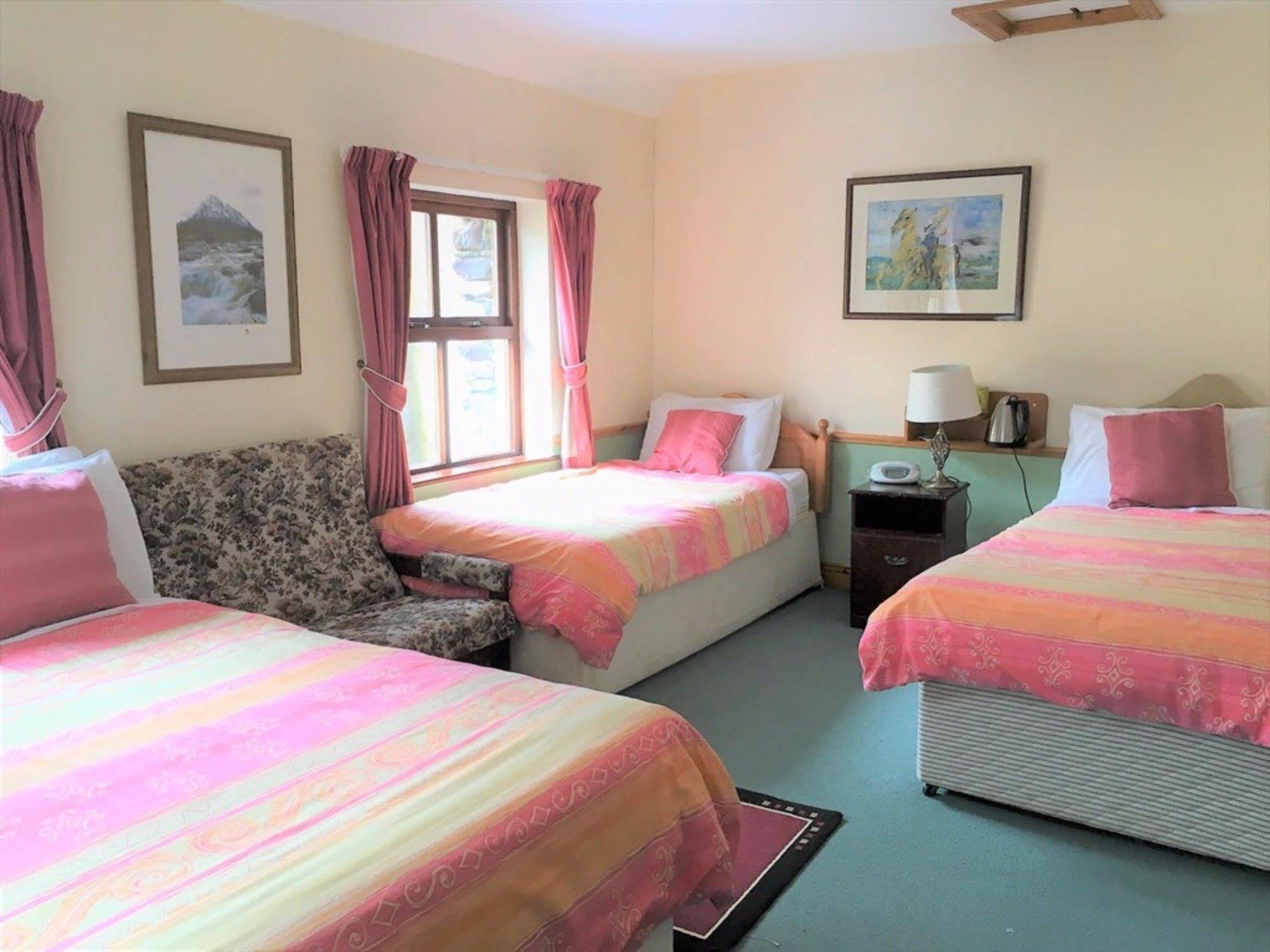 O'Connor'S Guest House Дингъл Екстериор снимка